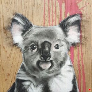 Little Bear